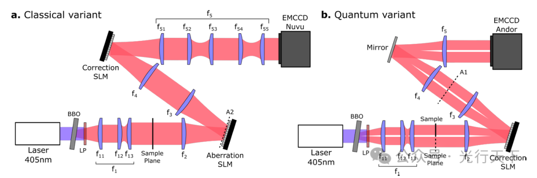 e454fb50-de33-11ee-a297-92fbcf53809c.png