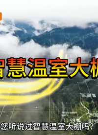 蜂窩物聯(lián)智慧大棚解決方案#農(nóng)業(yè)物聯(lián)網(wǎng) #智慧能源 
