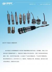 壓力傳感器，高溫壓力傳感器，井下壓力計傳感器，電潛泵壓力傳感器，#石油鉆井# 井下儀器測量# 射孔#人工智能 