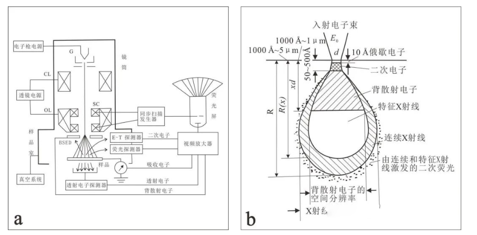 电子显微镜