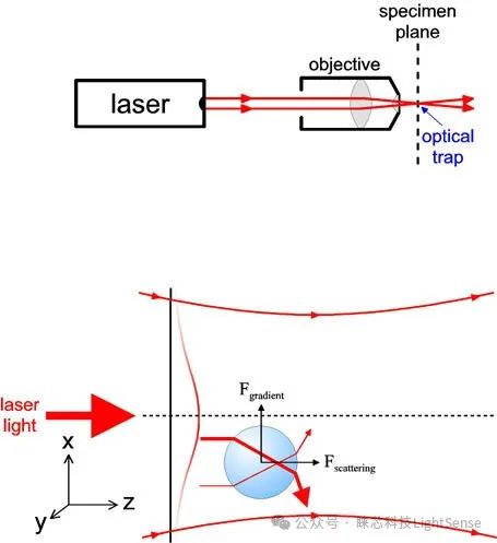 光镊optical tweezers是什么？光镊的用处有哪些呢？