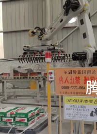機械手袋裝碼垛#碼垛機器人 #碼垛機械手 #工業機器人 #工業自動化 