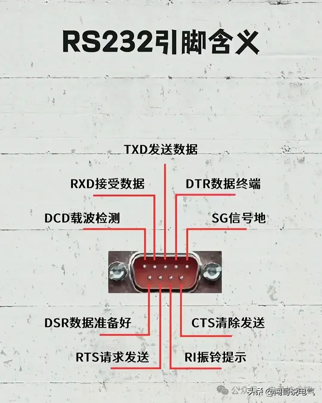 2691fcb0-ec31-11ee-a297-92fbcf53809c.jpg