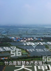 蜂窩物聯(lián)智慧水產(chǎn)養(yǎng)殖解決方案