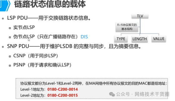 OSPF