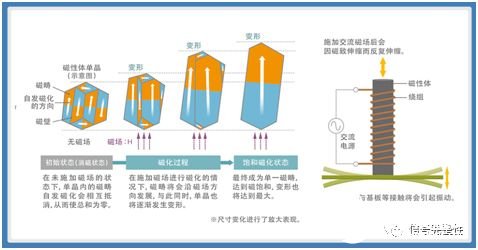 fe8d51de-cf88-11ee-b759-92fbcf53809c.jpg