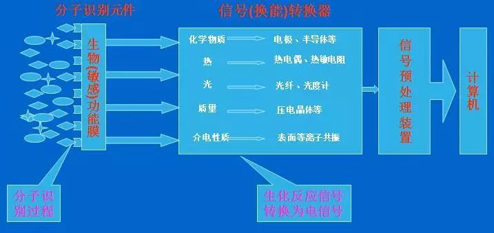 生物医学传感器：揭秘健康监测的神奇小工具！ (https://ic.work/) 传感器 第6张