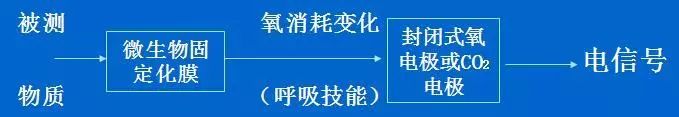 生物医学传感器：揭秘健康监测的神奇小工具！ (https://ic.work/) 传感器 第11张