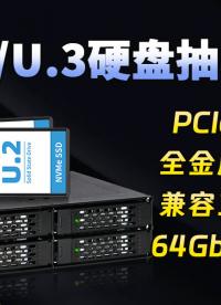 4盤位 2.5英寸 U.2 硬盤抽取盒，竟還能支持不拆機插拔#嵌入式系統 #嵌入式 #工控 