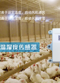 智慧养鸡环境监测方案 养鸡户必备神器！ #plc #人工智能 #物联网 