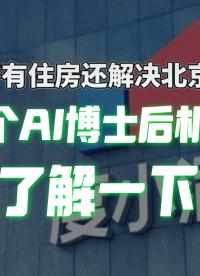 大佬带队做AI大模型，科研人的梦中情司开启博士后招募计划