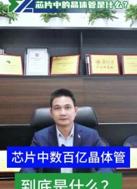 一片芯片中，數百億的晶體管，到底是什么呢？你們了解嗎？#esd#晶體管 #薩瑞微 