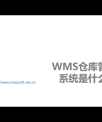 WMS仓库管理系统介绍