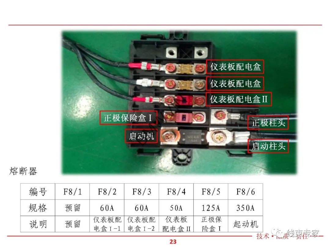 778ee58a-0188-11ef-a297-92fbcf53809c.jpg