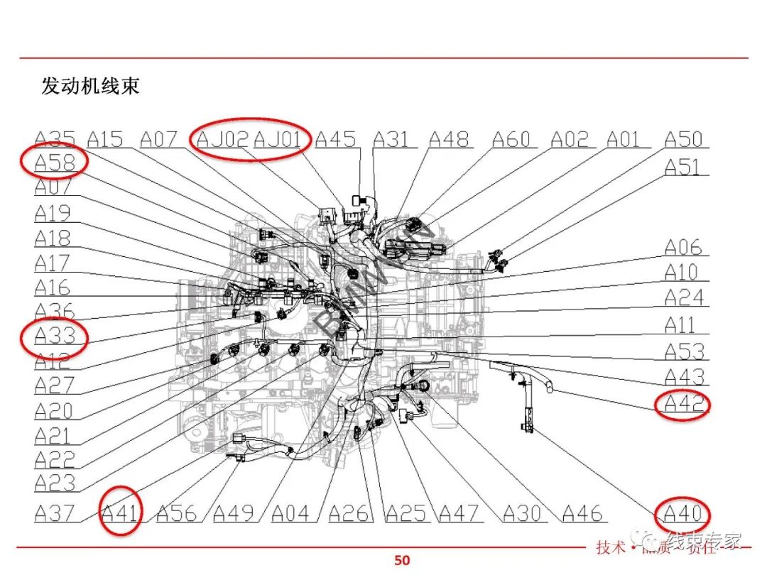 7b3ba11e-0188-11ef-a297-92fbcf53809c.jpg