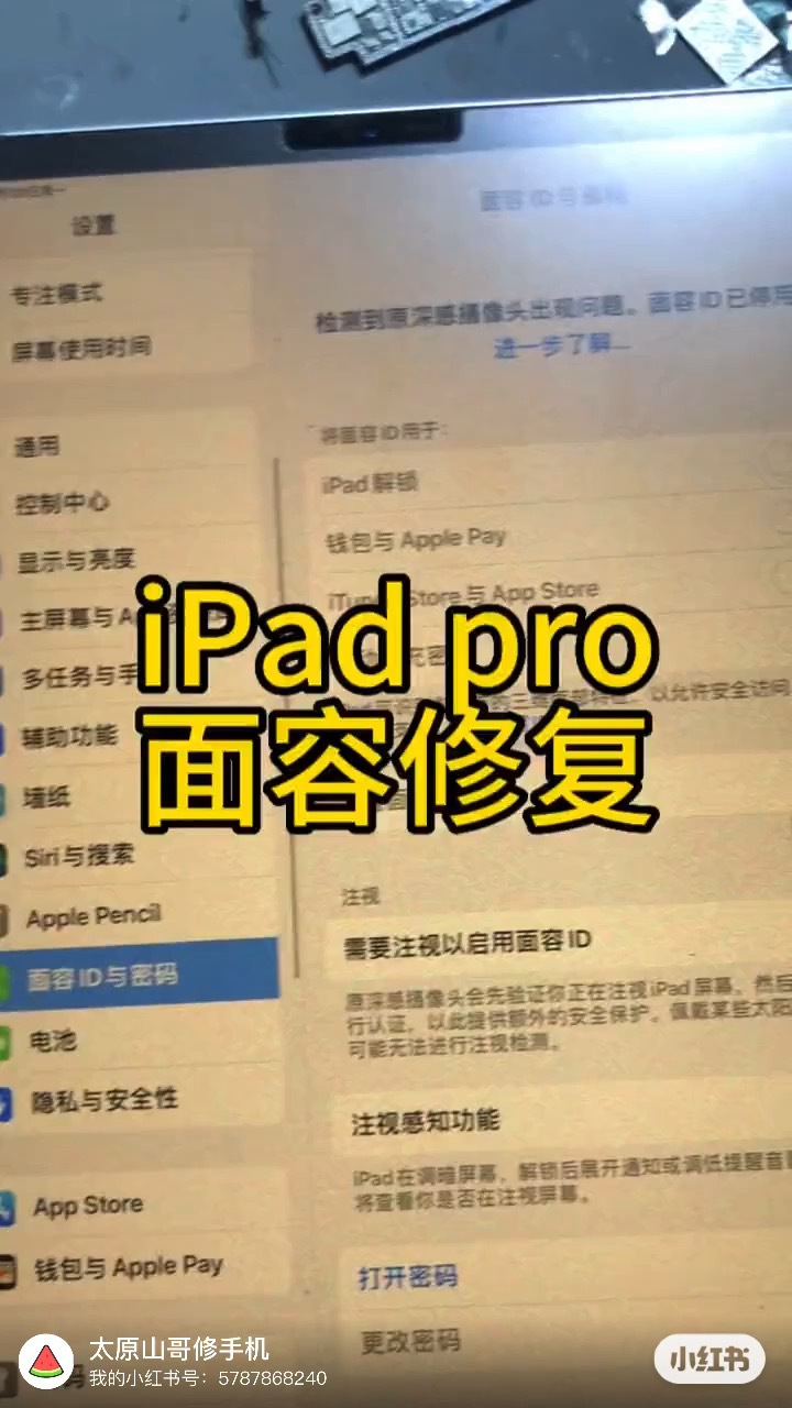 iPad pro面容修复