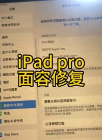 iPad pro面容修复