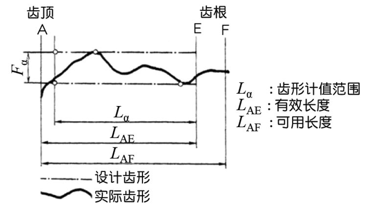 齿轮