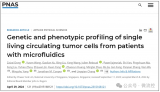 基于微流控的納米<b class='flag-5'>細胞</b>芯片，用于肺癌免疫治療的精準預測