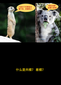 深圳比創達電子EMC｜什么是共模？什么是差模？一看便知！#深圳比創達電子EMC #共模 #差模 