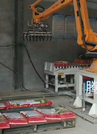 國產機械手袋裝碼垛#碼垛機器人 #碼垛機 #工業機器人 #自動化設備 