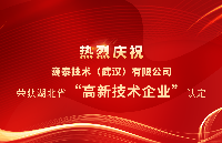 巍泰技术（武汉）有限公司荣获湖北省2023年“高新技术企业”认定