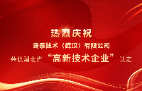 巍泰技術（武漢）有限公司榮獲湖北省2023年“高...