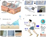 基于液態金屬的雙向人機界面電子紋身，<b class='flag-5'>可用于</b><b class='flag-5'>健康</b><b class='flag-5'>監測</b>等領域