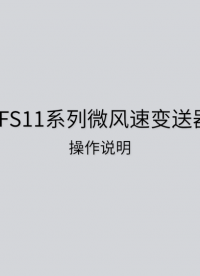 LFS11微风速变送器安装及其说明#人工智能 