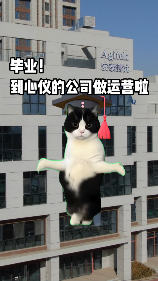 【猫meme】00后毕业勇闯新媒体运营圈。。。#猫meme #电路知识 #00后 