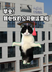 【猫meme】00后毕业勇闯新媒体运营圈。。。#猫meme #电路知识 #00后 