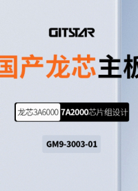 龍芯主板GM9-3003-01