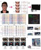 用于人機(jī)交互的頻率編碼眼動追蹤<b class='flag-5'>智能</b><b class='flag-5'>隱形眼鏡</b>