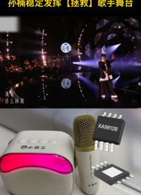 用小霸王K歌音響聽孫楠《拯救》歌手現場# 音頻功放芯片#芯片 #