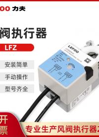 LFZ-Q快速型角行程執行器#
 