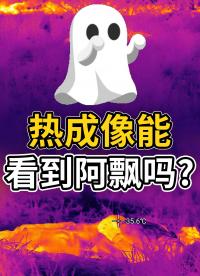 探秘未知：热成像能看到阿飘吗？#红外热成像 #红外摄影 