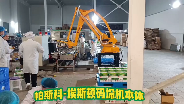 帕斯科-埃斯頓ER120-2400PL機械手疊包機誠邀合作# 碼垛機