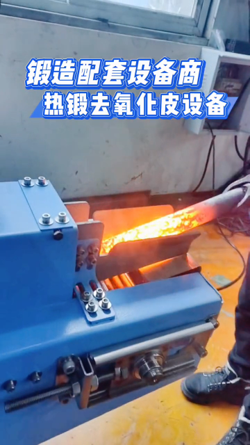 135熱鍛去氧化皮設備異形件表面氧化皮去除用除鱗機