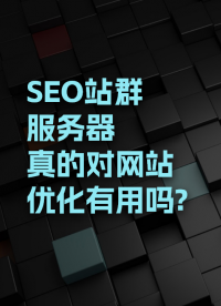 網站優化依賴SEO站群服務器，效果非常好？