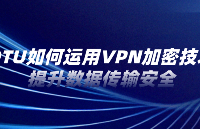 DTU如何運(yùn)用VPN<b class='flag-5'>加密</b>技術(shù)提升<b class='flag-5'>數(shù)據(jù)</b>傳輸<b class='flag-5'>安全</b>？