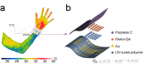 南京大學(xué)：高靈敏度和高線性度的<b class='flag-5'>可拉伸</b>應(yīng)變<b class='flag-5'>傳感</b>器的分層結(jié)構(gòu)設(shè)計
