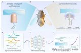 英伟达 AI 芯片供应存在“巨大瓶颈”，意法半导体推出ST BrightSense图像传感器生态系统