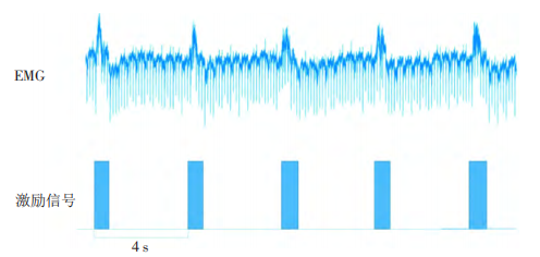 小鼠EMG與TMAS激勵信號關(guān)系
