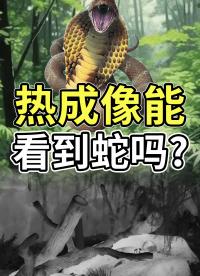 熱成像能看到蛇嗎？到底怎么回事？ #紅外熱成像 #紅外攝影 