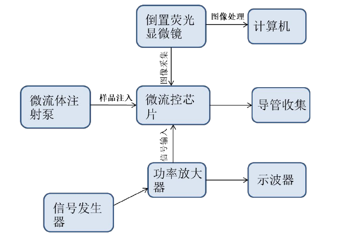 实验框图