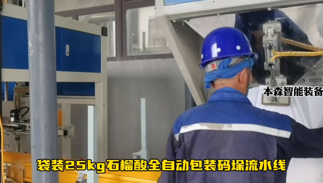 山東本森智能裝備     袋裝25kg石榴酸全自動包裝碼垛流水線#包裝碼垛
 