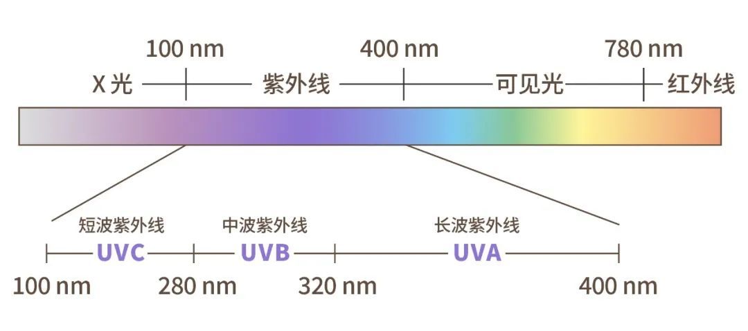 UV美甲灯选购指南，璀璨指尖，美甲灯照亮你的美甲之路 (https://ic.work/) 电源管理 第1张