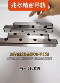 非標交叉滾針直線導軌MV4020-M200-V150，配HW15*130mm(2.0*6.8)直角滾針排保持架