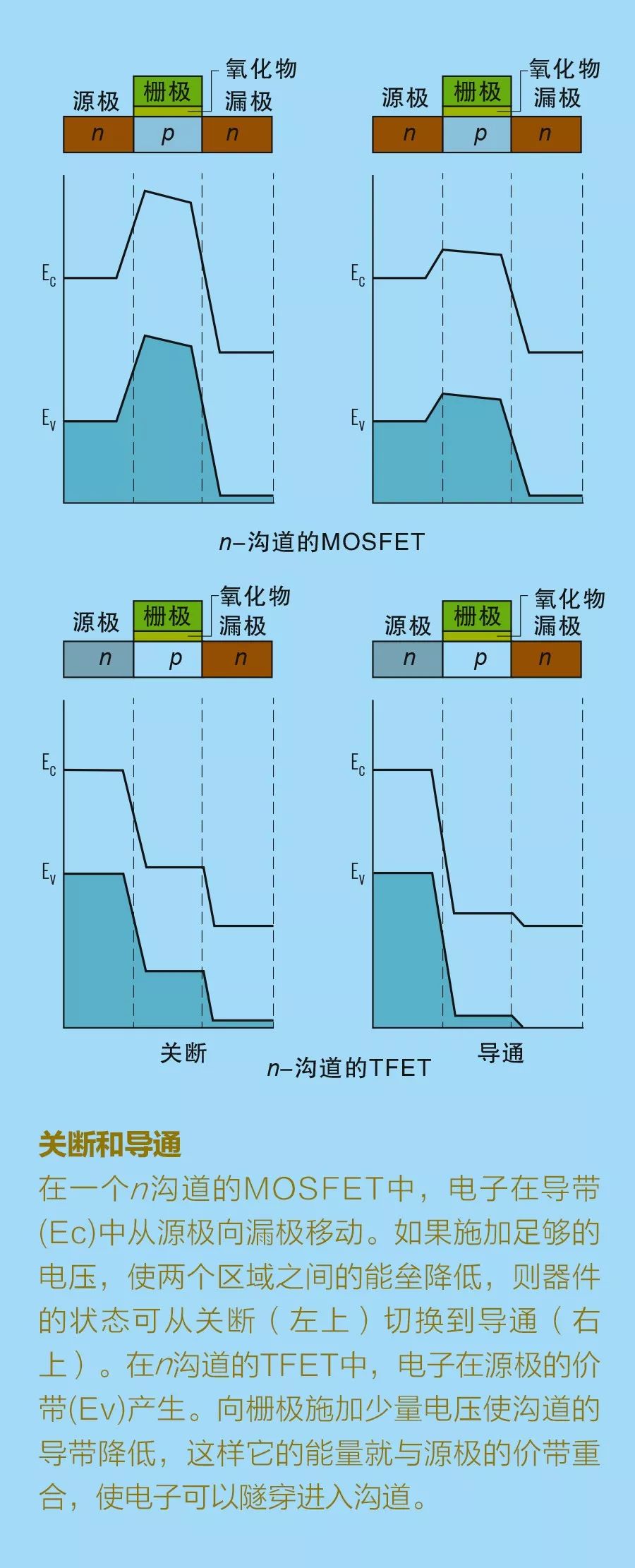 0d3adb52-a4cc-11ef-93f3-92fbcf53809c.jpg