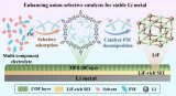 通過電荷分離型共價有機框架實現對鋰金屬<b class='flag-5'>電池</b><b class='flag-5'>固態</b><b class='flag-5'>電解質</b><b class='flag-5'>界面</b>的精準調控